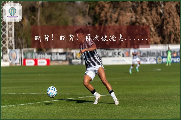 断货！断货！再次被抢光......