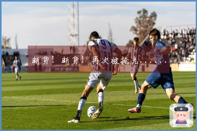 断货！断货！再次被抢光......